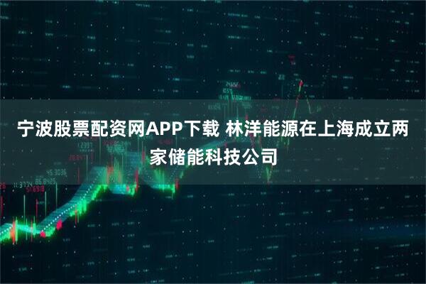 宁波股票配资网APP下载 林洋能源在上海成立两家储能科技公司