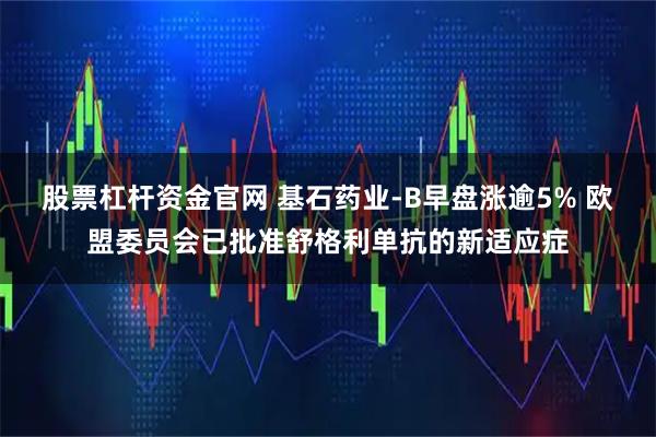 股票杠杆资金官网 基石药业-B早盘涨逾5% 欧盟委员会已批准舒格利单抗的新适应症