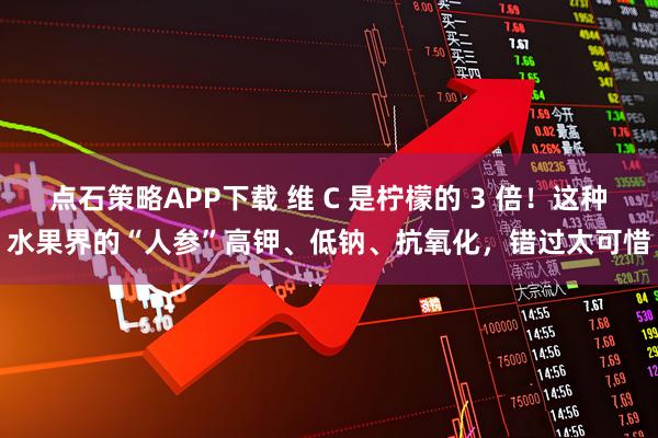 点石策略APP下载 维 C 是柠檬的 3 倍！这种水果界的“人参”高钾、低钠、抗氧化，错过太可惜