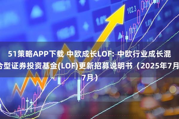 51策略APP下载 中欧成长LOF: 中欧行业成长混合型证券投资基金(LOF)更新招募说明书（2025年7月）