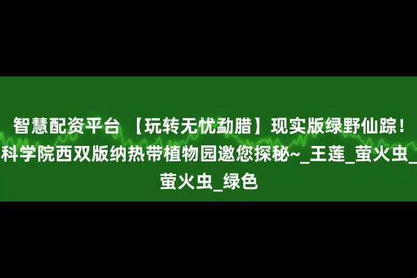智慧配资平台 【玩转无忧勐腊】现实版绿野仙踪！中国科学院西双版纳热带植物园邀您探秘~_王莲_萤火虫_绿色