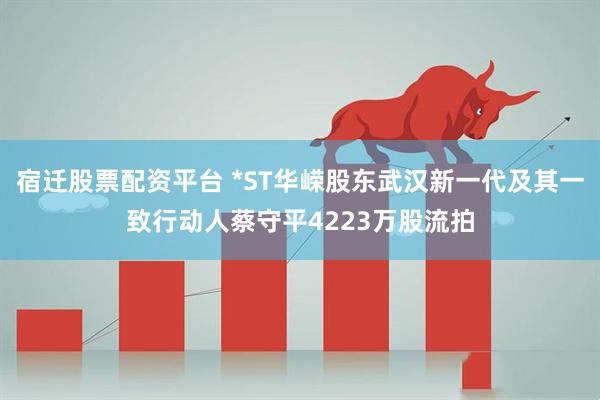 宿迁股票配资平台 *ST华嵘股东武汉新一代及其一致行动人蔡守平4223万股流拍