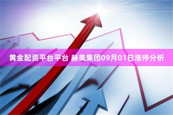 黄金配资平台平台 赫美集团09月01日涨停分析